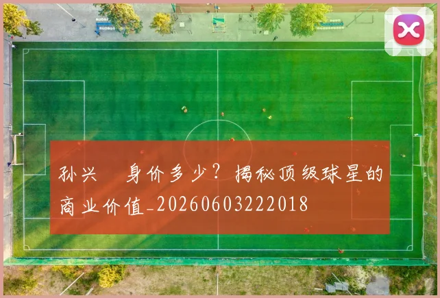 孙兴慜身价多少?揭秘顶级球星的商业价值_20260603222018